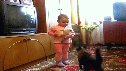 Babies and conflict.gif