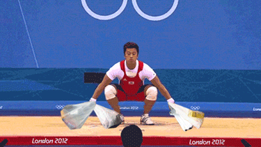 tmp_3819-funny-gif-grocery-bags-1252507864.gif