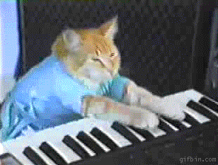 Keyboard cat.gif