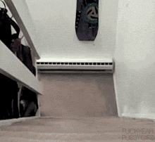 Hi speed stairs compatible cat.gif