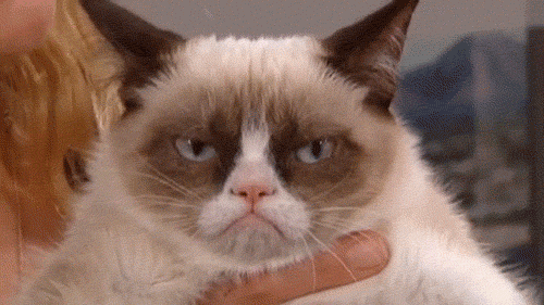 Grumpy Cat king of Cat Gif Page.gif