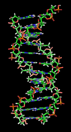 DNA_orbit_animated_static_thumb.png