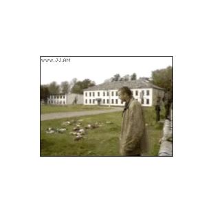 싸움 도발 결과