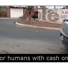 Fishing for humans with cash on a string
