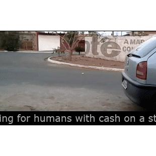 Fishing for humans with cash on a string