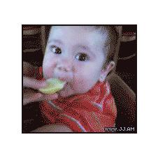 아기가 먹는 레몬