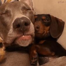 나하고 여기서 살면 안될까?