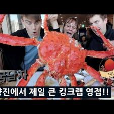 [영국남자] 엄마랑 한국 수산시장 가서 제일 큰 킹크랩 달라고 했더니...!!