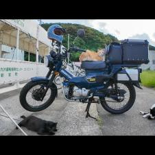 猫「帰さんぞ！」バイク前で謎の圧力をかけてくる猫たちが怖かわいいｗ