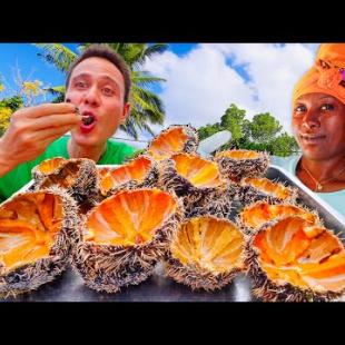 Stonefish & Sea Urchin!! 🇲🇺 QUEEN OF SEAFOOD in Mauritius, East Africa!!