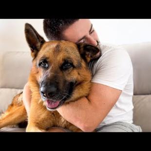 Hugging My German Shepherd for too long and he really likes it!