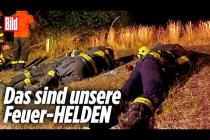 [독일 Bild紙] Feuerwehr kämpft bis zur Erschöpfung gegen Waldbände | Sächsische Schweiz