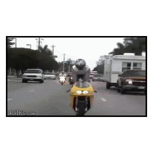 Standing_motorcycle
