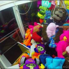 A mascot is grabbed inside a claw machine.