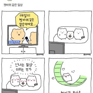 쳇바퀴 같은 일상