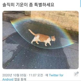 기운이 좀 특별하세요