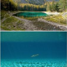 오스트리아의 신기한 호수 공원