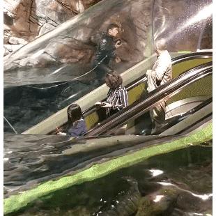 물 속으로가는 에스컬레이터