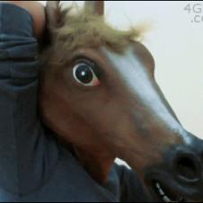 Horse-mask-inception