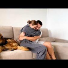 What does my German Shepherd do when I hug my wife