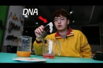 DNA는 과연 무슨 맛일까?ㅋㅋㅋㅋ한번 먹어봤습니다ㅋㅋㅋㅋ