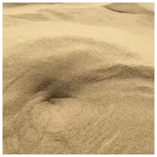 모래속에서