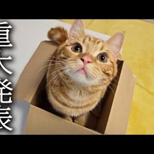 みなさまに重大なご報告があります...