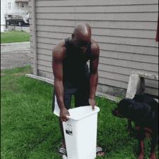 Ice-bucket-challenge-scares-dog