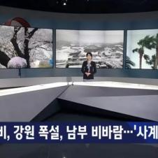 4계절이 뚜렷한 한국