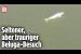 [독일 Bild紙] Beluga-Wal verirrt sich vor Paris | Seine