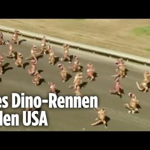 [독일 Bild紙] Hunderte Menschen rennen als T-Rex verkleidet um die Wette