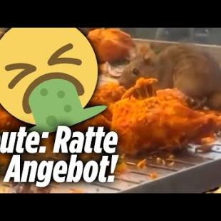 [독일 Bild紙] Ratten-Alarm im Asia-Restaurant: Ekelfund in der Auslage | Malaysia