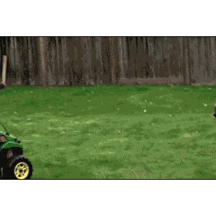 A girl runs over her brother with a tractor.