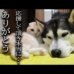 みなさまにお伝えしたいことがあります...