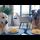 Spaghetti Eating Competition: German Shepherd vs. Golden Retriever