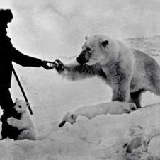 배고픈 북극곰에게 먹이를 주고 있는 러시아 군인