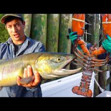 Great Canadian Food Tour 🇨🇦 Vancouver, Toronto, Montreal & More - SEAFOOD to STREET FOOD!