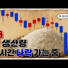 💀 조만간 쌀을 못 먹게 될 수도 있는 이유 ㄷㄷ / 💀 지구 기온 상승이 쌀 생산에 미치는 영향