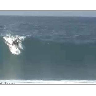 Surfing_Rodeo_flip