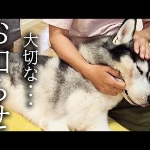 大手術後の今後についてお知らせがあります...