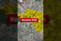 [독일 Bild紙] Wolf in Sachsen-Anhalt entdeckt #shorts