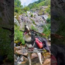 Man and his Dog Hike 900km on the GR10