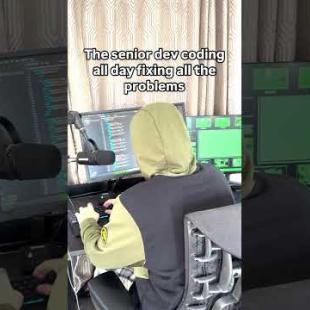 The senior dev vs the junior dev 😅