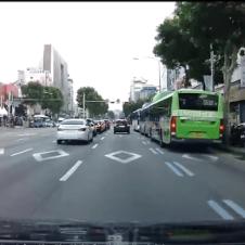 대담한 무단횡단