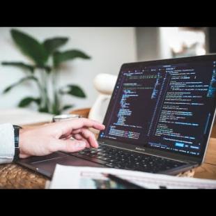 I Spent 14 Weeks Coding This