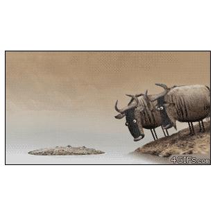 누우의 판단 실패