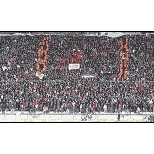 트롤페이스 팬들