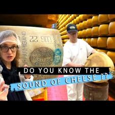 Parmigiano Reggiano: Discover how authentic parmesan cheese is made in Parma