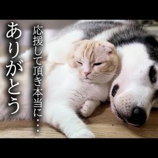 みなさまにお伝えしたいことがあります...