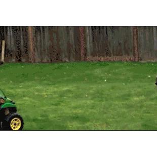A girl runs over her brother with a tractor.